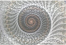 Cartamundi Shell Sprial 1000 Piece Jigsaw Puzzle