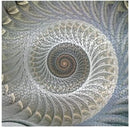 Cartamundi Shell Sprial 1000 Piece Jigsaw Puzzle