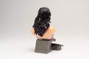 Justice League Wonder Woman 3D Puzzle (Clear or Solid)
