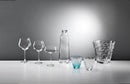 RCR Da Vinci Red Wine Glasses - Set of Two