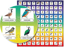 100 PICS Birds Jigsaw Quiz | Family Puzzle + Fun Quiz | 1-8 Players | Large Table Game | 45 Minutes Playing Time