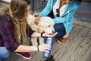 Hydroflask 22oz Tumbler Cobalt