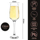 Homiu Florence Collection Champagne Flutes Set of 6 – 230ml