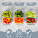 Homiu Borosilicate Glass 2-Compartment Meal Prep Containers with Lids – Set of 3