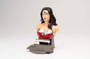 Justice League Wonder Woman 3D Puzzle (Clear or Solid)