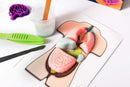 Kosmos Fun Science Squishy Organs STEM Experiment Kit