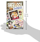 Blue Orange Sherlock Express Game