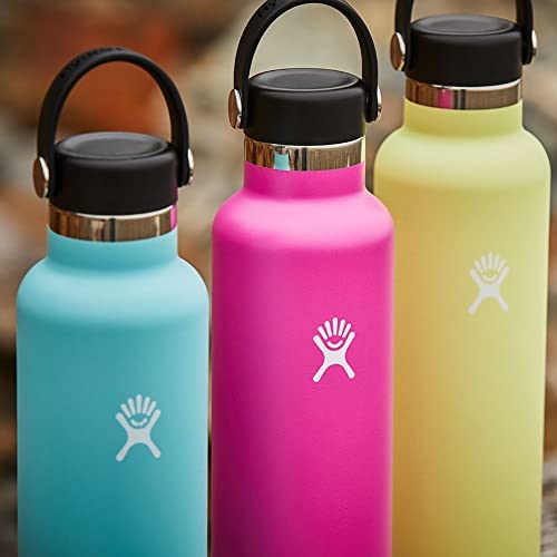 Hydro Flask Standard Flex Cap, Alpine Green