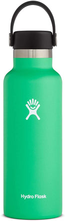 Hydro Flask Water Bottle 532 ml (18 oz), Stainless Steel & Vacuum Insulated, Standard Mouth with Leak Proof Flex Cap, Spearmint
