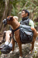 EzyDog Summit Backpack, Small, Black