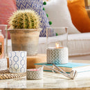 Yankee Candle Classic Tealights A Night Under The Stars