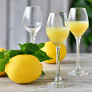 Krosno Splendour Collection | liqueur or vodka glasses | 60ml | Set of 6