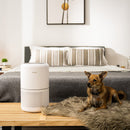 Levoit Air Purifiers for Home Bedroom with H13 HEPA & Carbon Air Filters