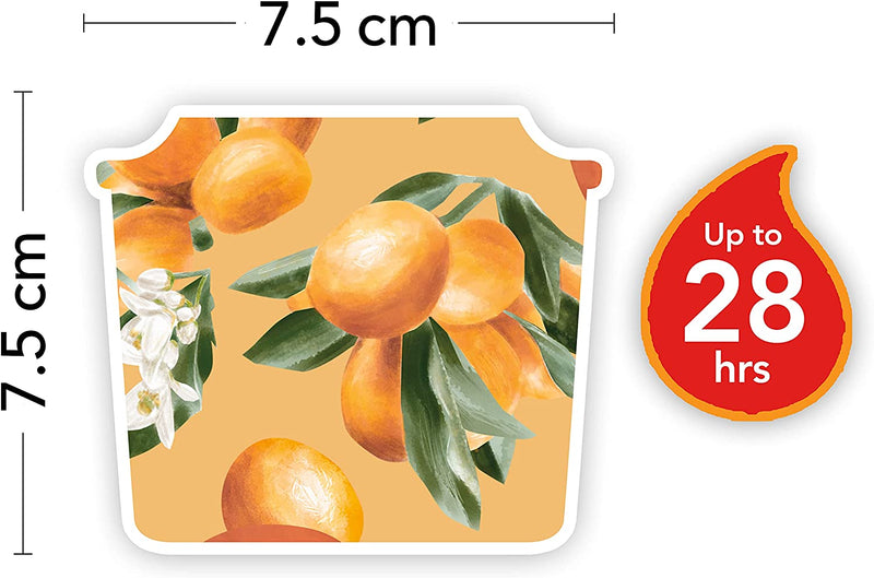 Yankee Candle Small 1-Wick Square Scented Candle | Kumquat & Orange