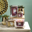 Yankee Candle Wick Square Scented Candle, Wax, Grapevine & Saffron, Small