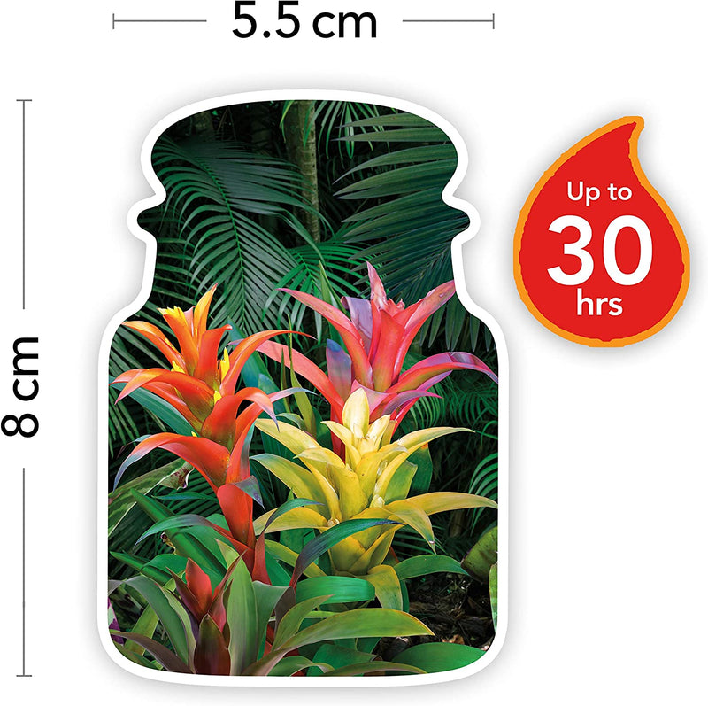 Yankee Candle Scented Candle Tropical Jungle Small Jar Candle