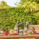 Yankee Candle Small Jar Candle | Sweet Honeycomb Scented Candle | Up to 30 Hours Burn Time | Garden Hideaway Collection