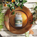 Yankee Candle Scented Candle Water Garden Medium Jar Candle Home Light Scents