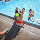 12 Pack Splash Bomb Balls with Neon Drawstring Mesh Bag for Pool by Big Mo’s Toys