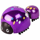 Little Live Pets Lil Ladybugs Bug Beam