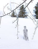 Corkcicle Canteen 9oz Snowdrift