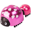 Little Live Pets Ladybug Single Pack Bug Heart