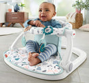 Fisher-Price DJD81 Sit-Me-Up Floor Seat Portable Baby Chair Seat (Without Tray)