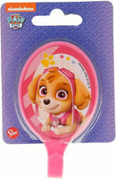 Stor Paw Patrol Girl Easy Large Oval Standard Adhesive Hanger Children Furniture