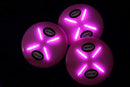 Flite by Nite Lumi-Niter Raspberry Disc